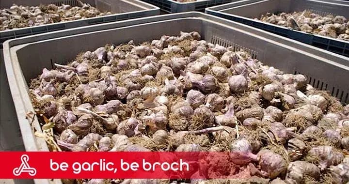 Broch — maszyny w obiektywie — kadr 3
