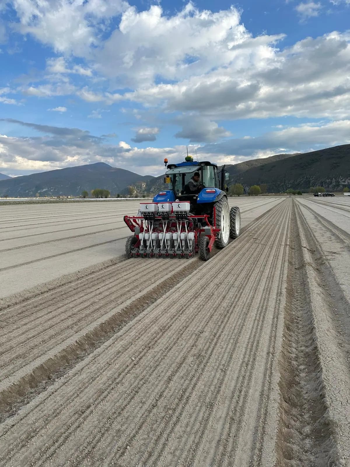 Agricola Italiana PK20 VERTICAL — pneumatyczny siewnik precyzyjny do kukurydzy