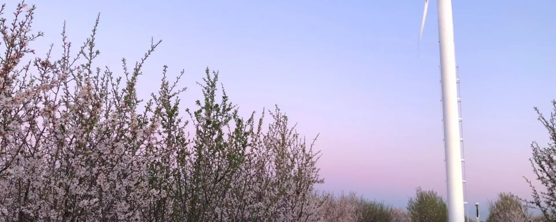 SPAG — panorama